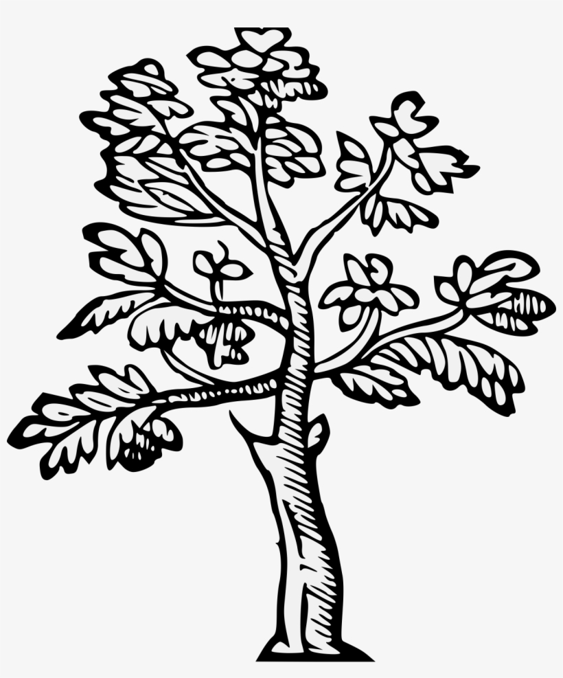 Details, Png, transparent png