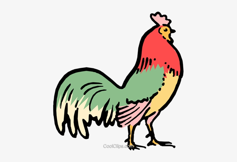Cartoon Rooster Royalty Free Vector Clip Art Illustration - Rooster Cartoon, transparent png