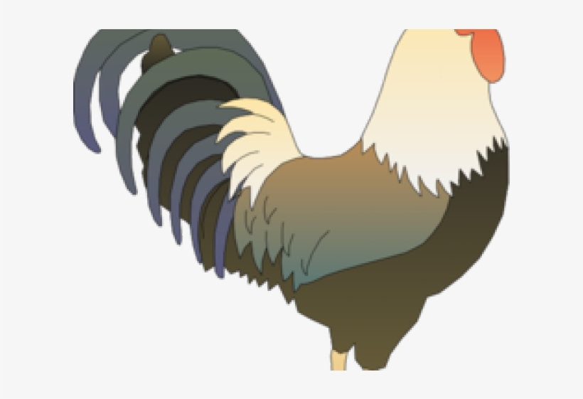 Clipart Rooster, transparent png
