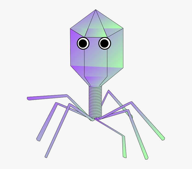Virus Removal - Virus Png, transparent png