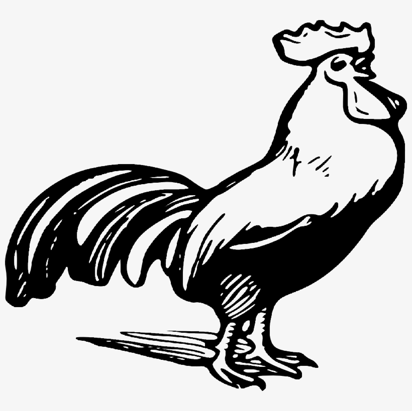Gorgeous Black-ink Crying Rooster Tattoo Design - Rooster Clipart Black And White Png, transparent png
