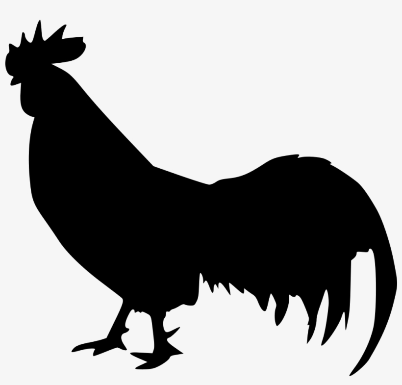 Animal Cock Rooster Comments - Love Rooster, transparent png