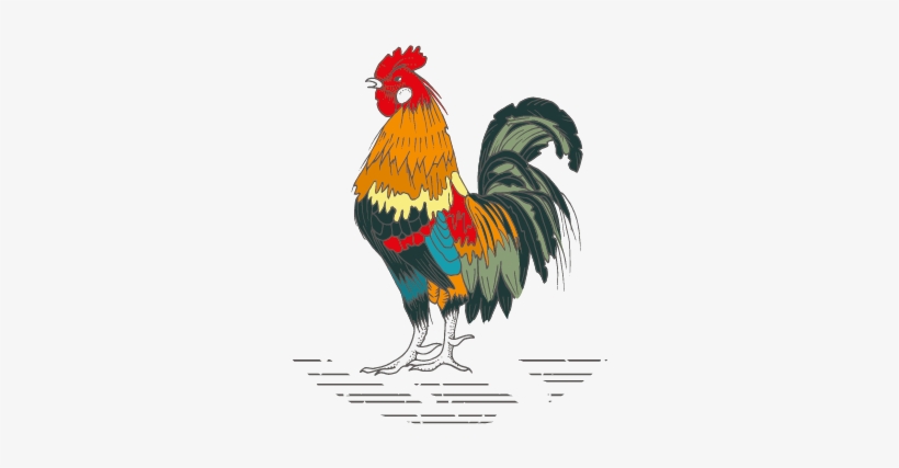 Rooster Icon 04 04 - Rooster Cafe Florence, transparent png