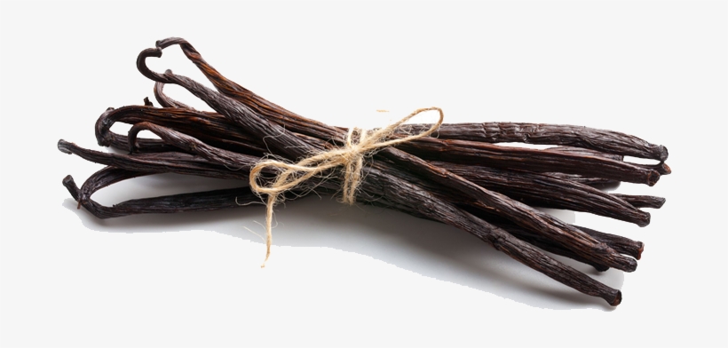 Vanilla Bean Png Photo - Vanilla Bean Transparent Png, transparent png