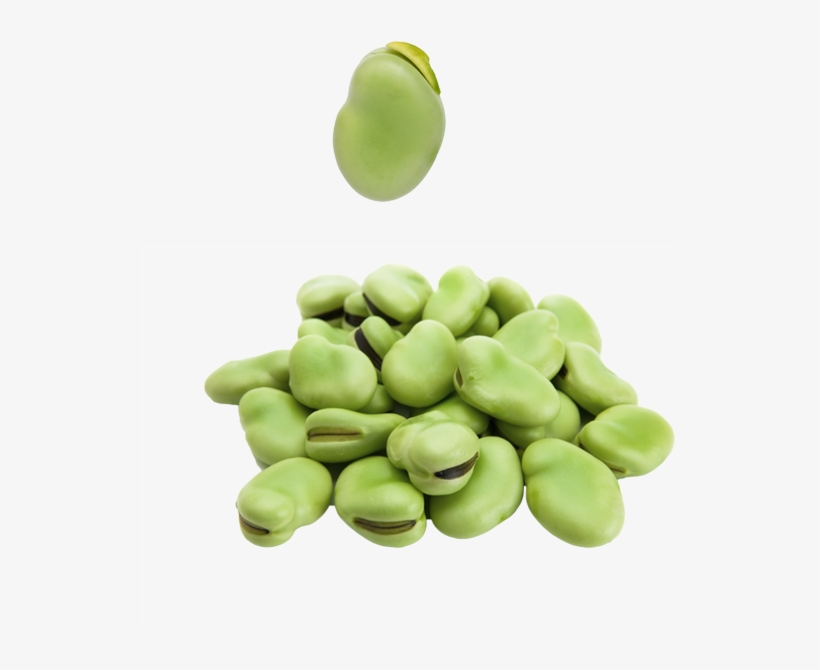 Broad Beans - Broad Beans Png, transparent png
