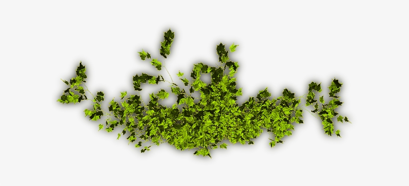 24 Mar 2009 - Tree, transparent png