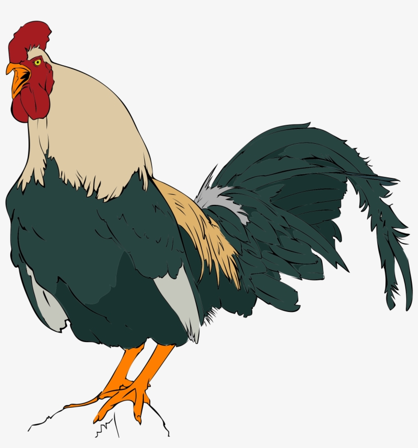 Open - سال 96 سال چه حیوانی است, transparent png