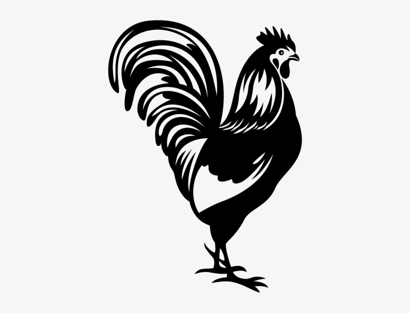 Rooster, transparent png