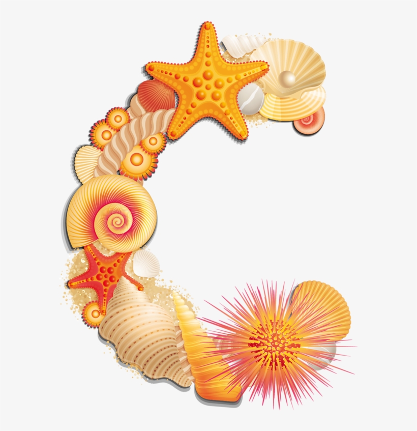 Beach Letter C - Seashell B Scrapbook Alphabet Png, transparent png