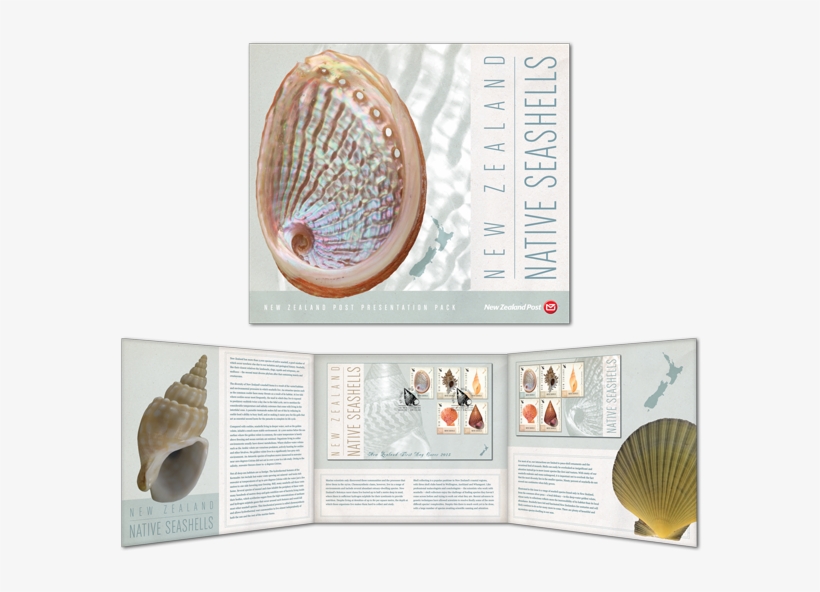 Sea Shells Pack Inside And Cover - Postage Stamp, transparent png