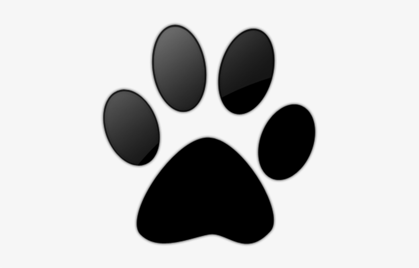 Paw Print Image - Blue And Yellow Paw Print, transparent png