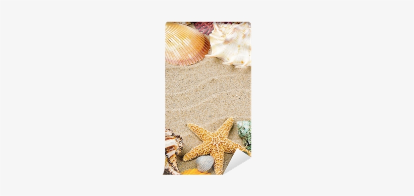 Marine Frame With Colorful Sea Shells Wall Mural • - Cornice Marina, transparent png