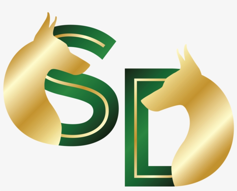 Doberman Png, transparent png