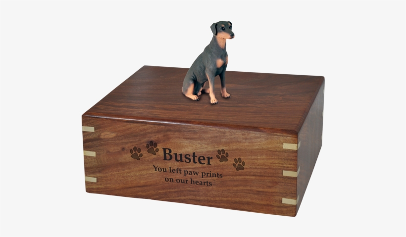 Wholesale Doberman Pinscher, Red Sitting Urn Engraved - Dog Catches Something, transparent png