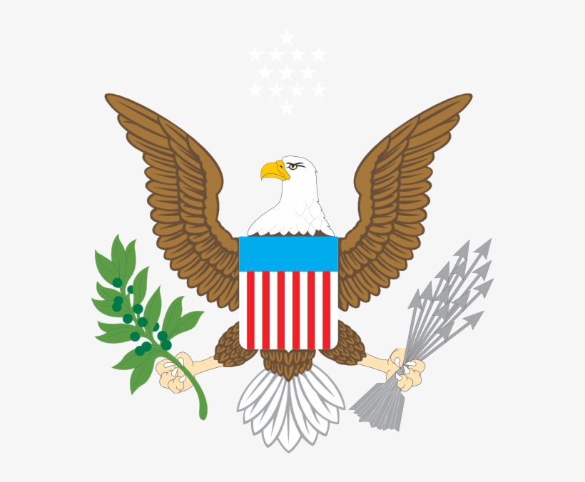 American Bald Eagle Clip Art, transparent png