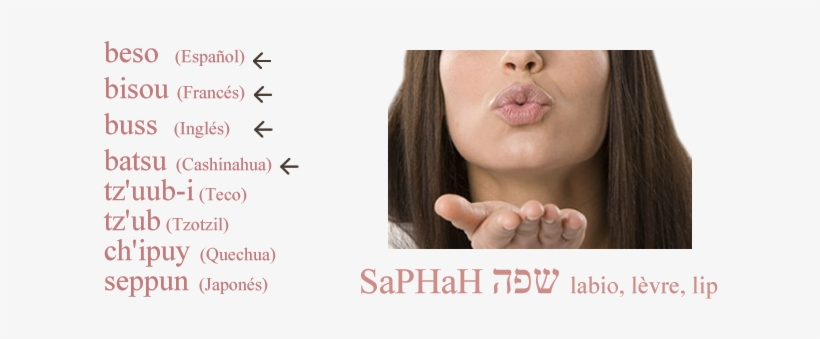 El Beso Es Tan Antiguo Como El Afecto - Kiss, transparent png