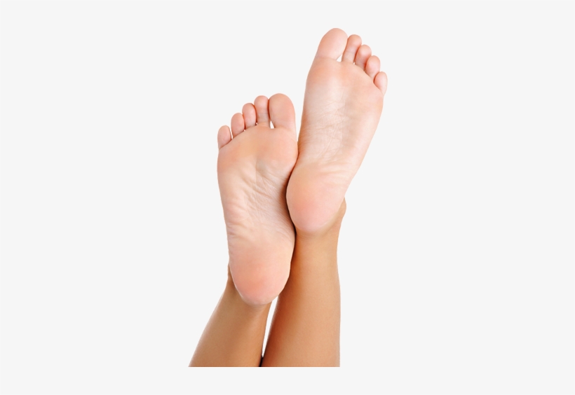 Locations - Cracked Heel Repair Scholl, transparent png
