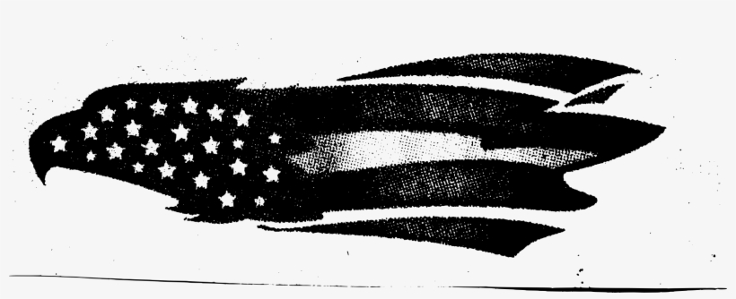 This Free Icons Png Design Of An American Eagle, transparent png