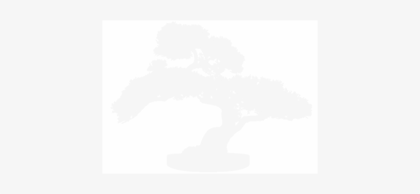 Bonsai Tree Vector, transparent png