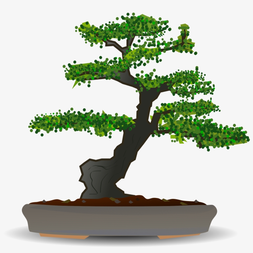 Bonsai Png, transparent png