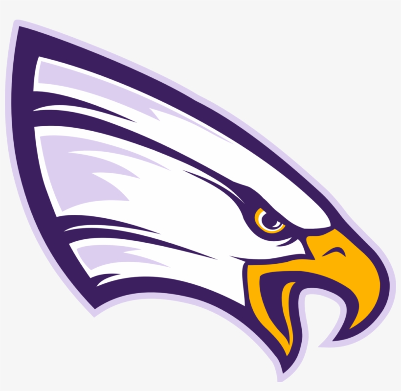 Unw Eagle Png Logo - University Of Northwestern Logo, transparent png