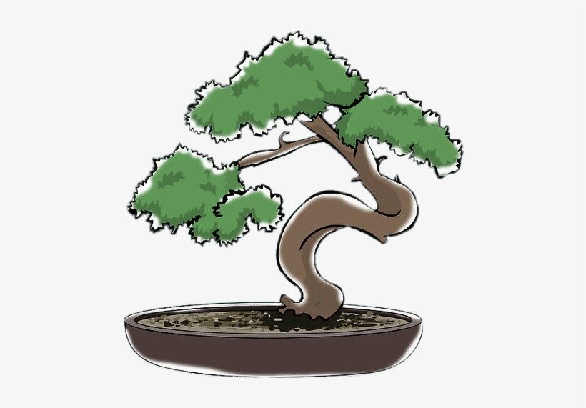 Bonsai Clipart - Bonsai Dibujo, transparent png
