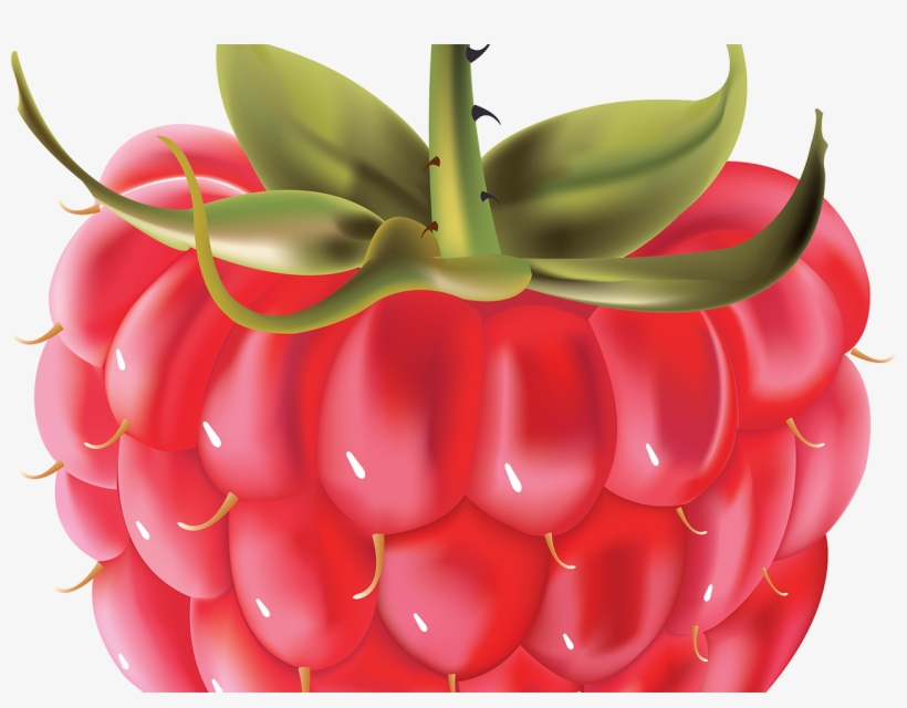 Raspberry, transparent png