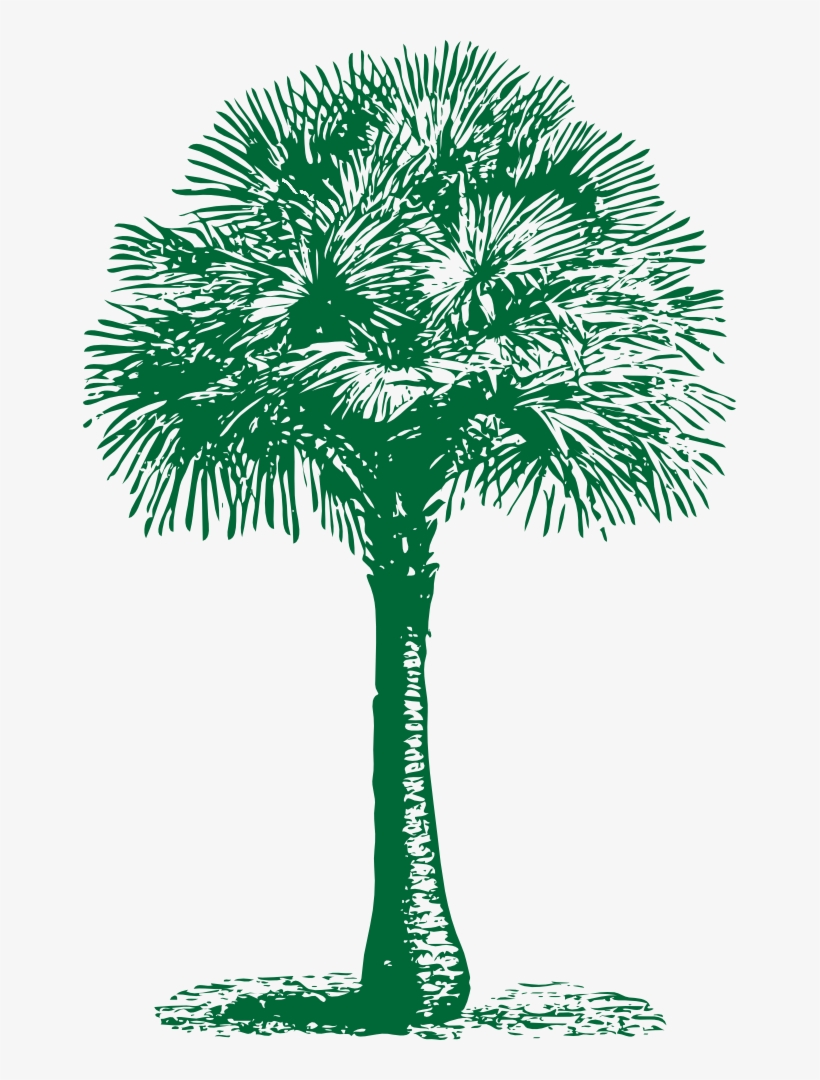 Free Vector Australian Fan Palm Clip Art - Palm Tree Beach Towel, transparent png