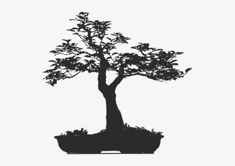 Sillouhette - - Bonsai Tree, transparent png