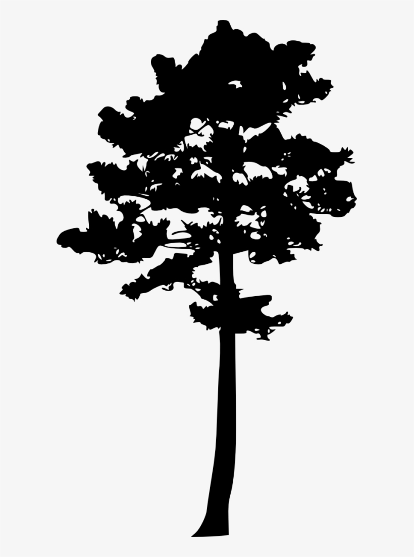 Png File Size - Tree Silhouette Clip Art Pine, transparent png