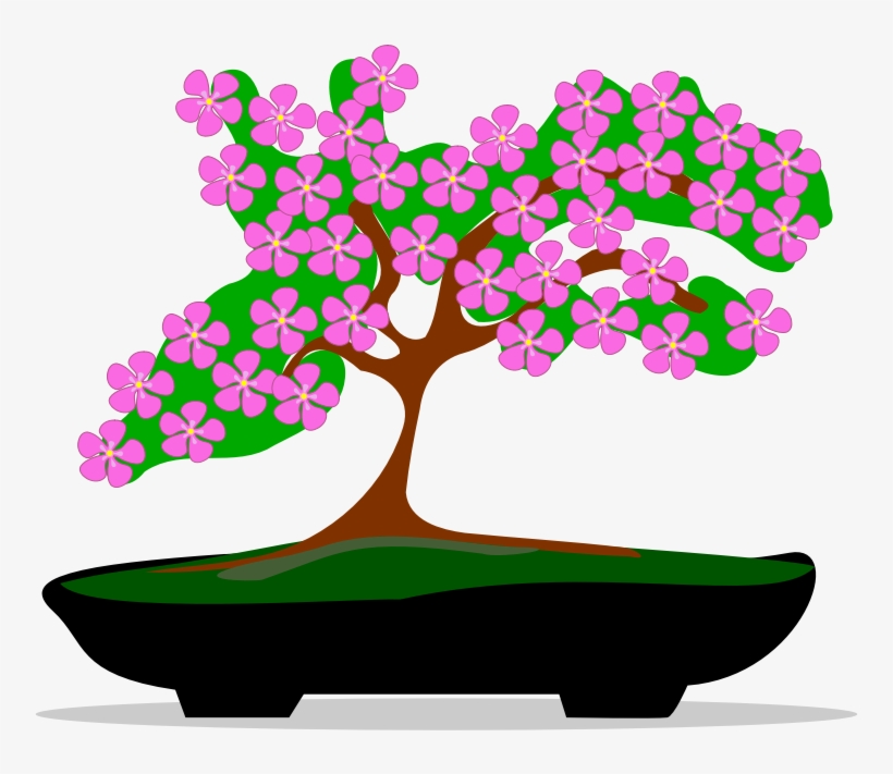 Clipart - Bonsai-01 - Bonsai, transparent png