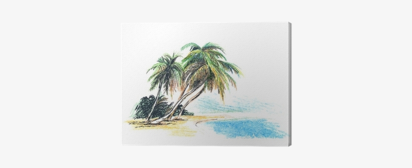 Drawing Beach With Palm Trees - Dessin De Palmier Sur La Plage, transparent png