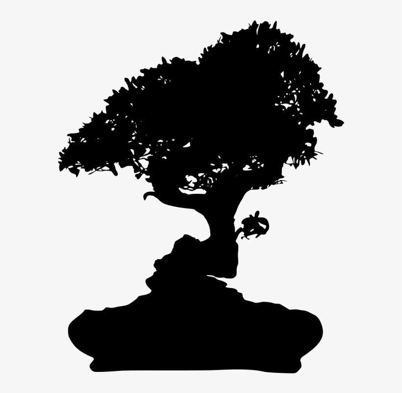 Download Png - Bonsai, transparent png