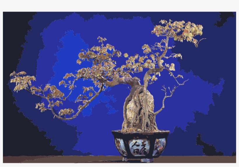 Bonsai Clipart National Bonsai Foundation Penjing - Bonsai, transparent png