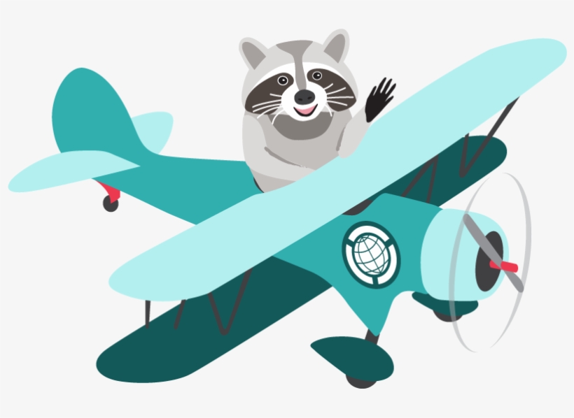 File - Raccoon2 - Thumbnail, transparent png