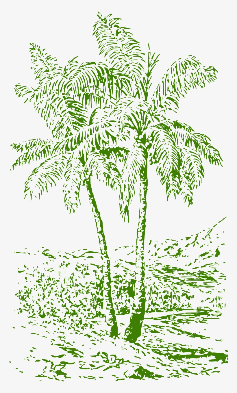 Island, Palms Trees Tropics Island Hawaii Scenic C - 3drose Llc 3drose Lsp_174619_1 Image Of Palm Cover, transparent png