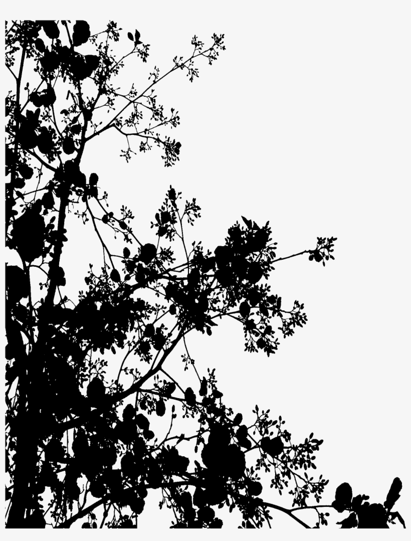 Flower Silhouette - Black Flowers Tumblr Transparent, transparent png