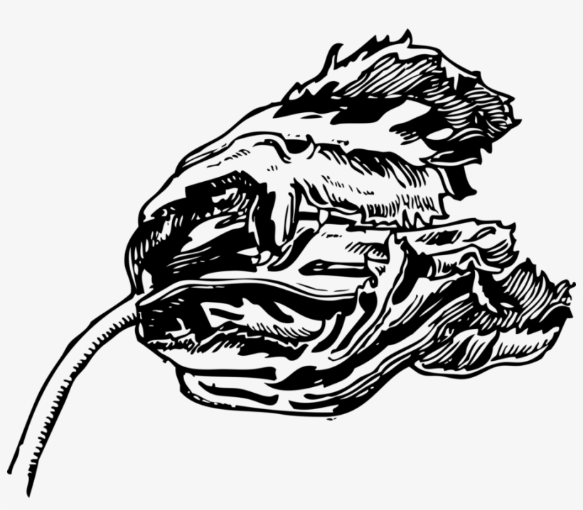 Tulip Computer Icons Drawing Flower Silhouette - El Tulipan Negro, transparent png