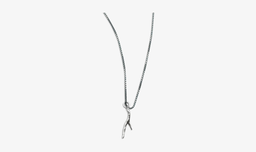 Coral Necklace Silver Thumbnail - Silver, transparent png