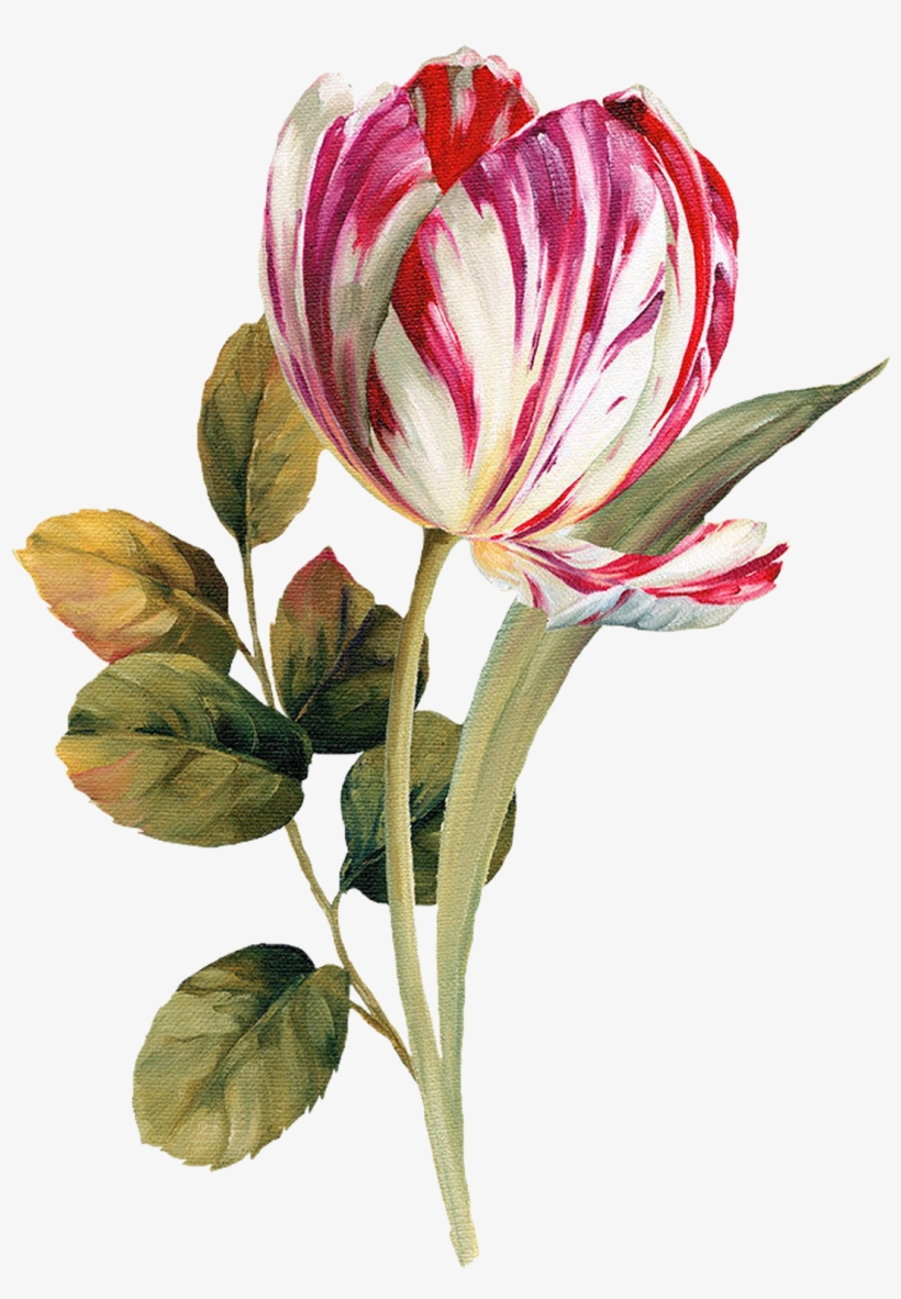 Pattern Flower, Flower Silhouette, Botanical Flowers, - Oil Painting Flower Png, transparent png