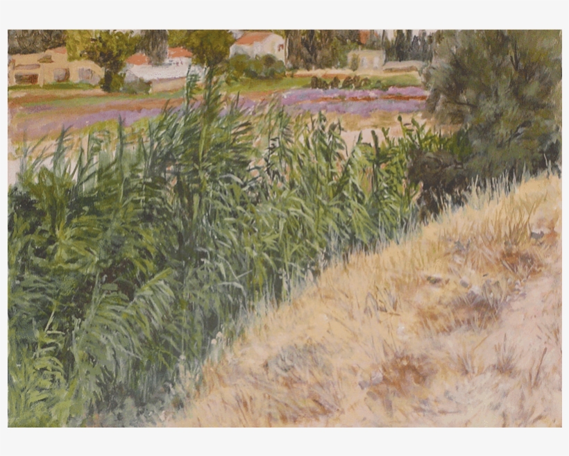 Ayelet Tikotzky Rectangular Placemat No - Grass, transparent png