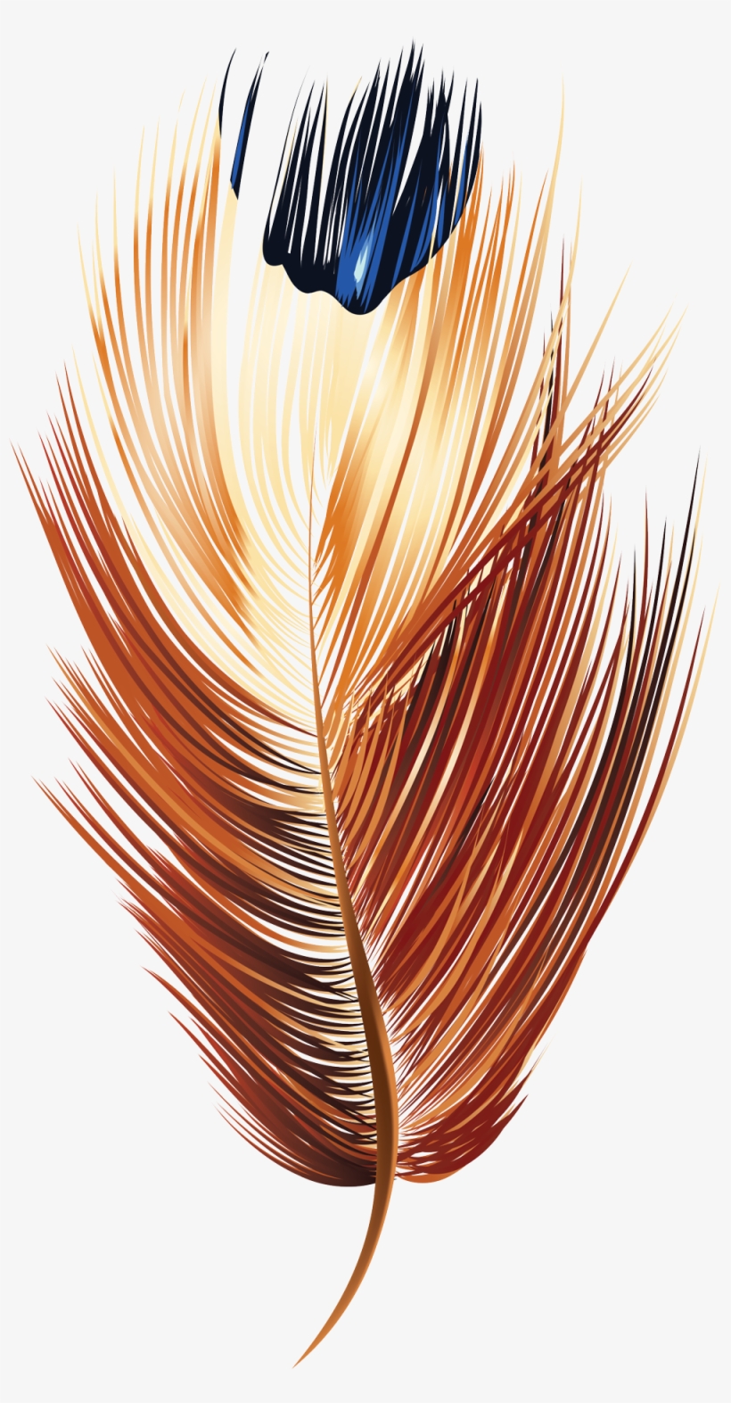 Feather Vector 5 - Orange Feather Vector Png, transparent png