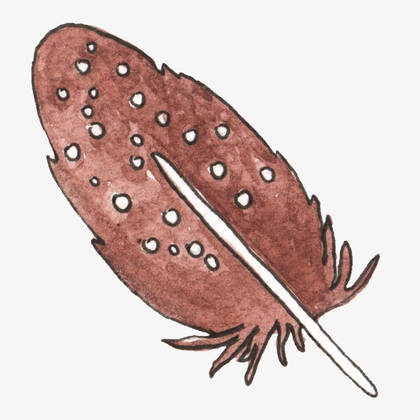 This Graphics Is Black Wood Feather Transparent Decorative - Brown, transparent png