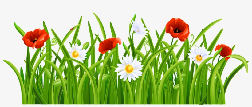 4 - Grass And Flower Clip Art, transparent png