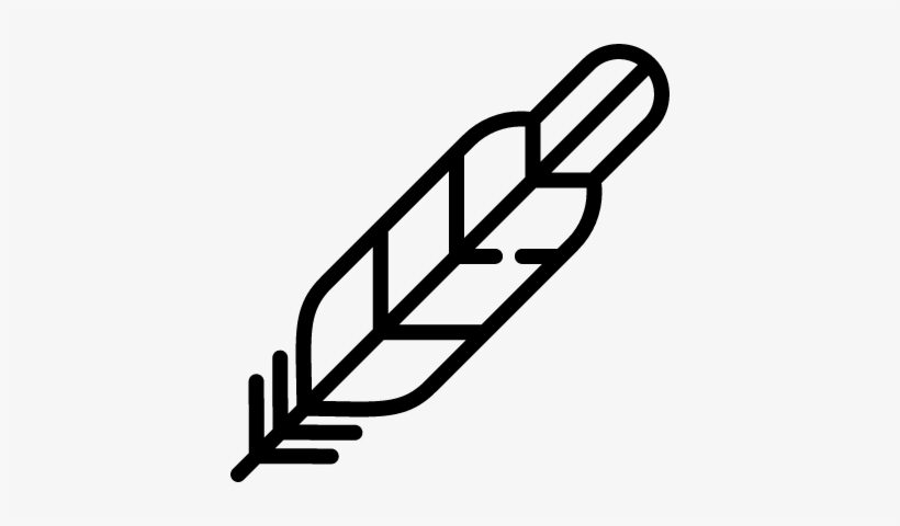 Feather Vector - Scalable Vector Graphics, transparent png