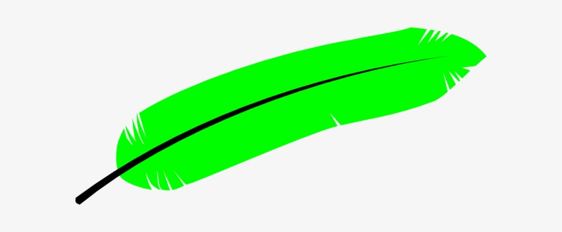 How To Set Use Green Feather Clipart, transparent png
