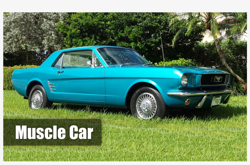 Musclecar - Sad Cat, transparent png
