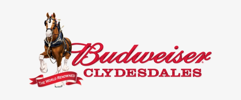 Budweiser Clydesdales Coming To Fort Myers - Budweiser Clydesdales Logo, transparent png