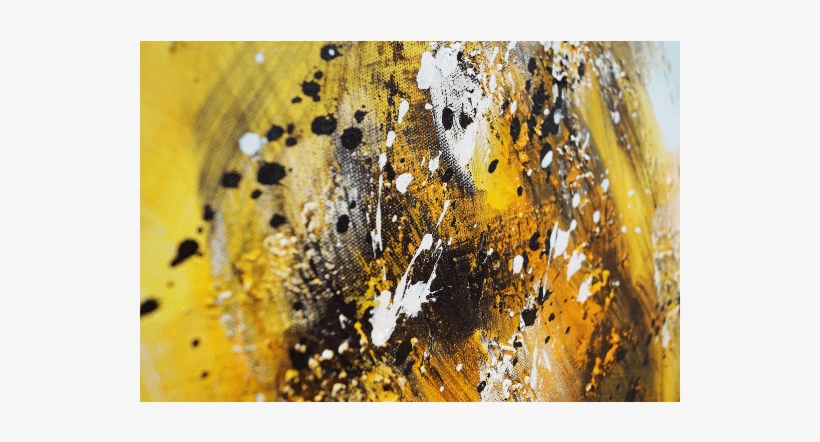 Hover Over An Image To Enlarge - Macro Photography, transparent png