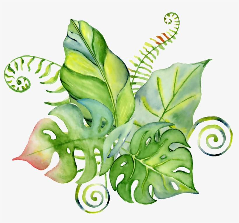 Hand-painted Leaves Of Four Slices Of Green Oil Png - Tropical Bouquet Aquarelle, transparent png